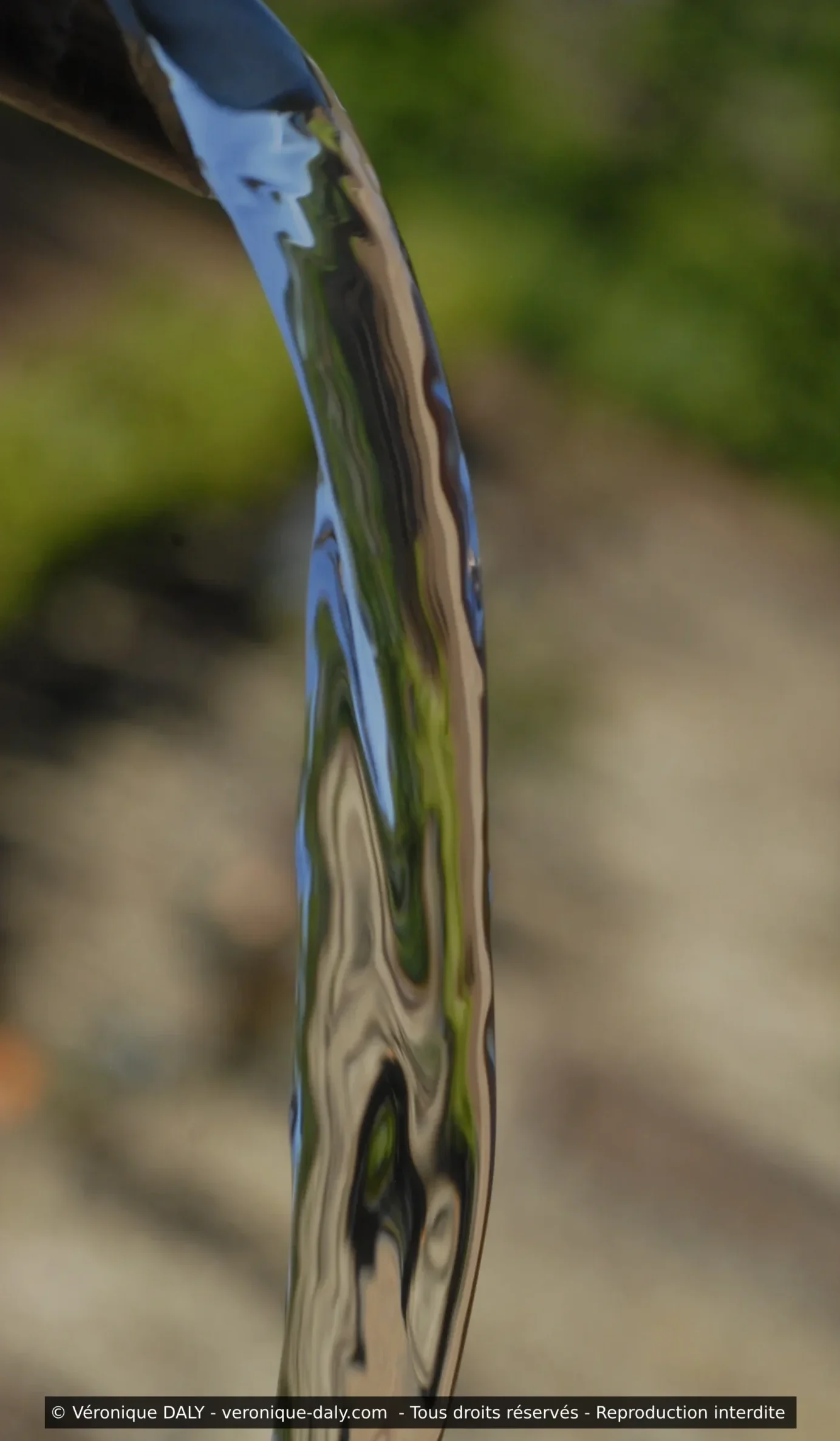 _DSC0369w