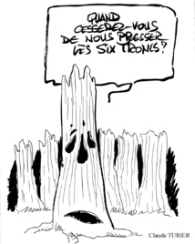 LA NATURE TIENT PAROLES