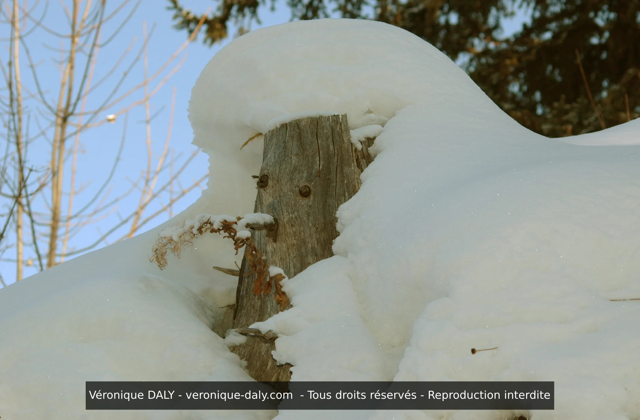 Neige VERONIQUE DALY 029
