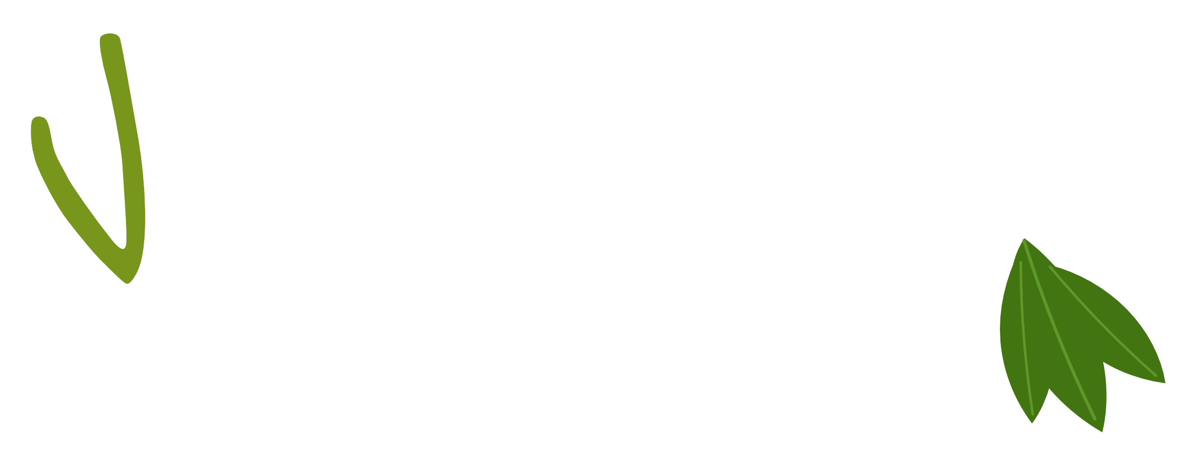 PNG LOGO BLANC